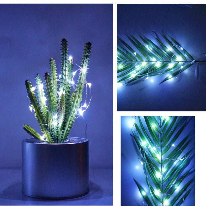NiniTe LIGHTS أضواء نينيتي 24 عبوة 6.6 قدم 20 مصباح LED خيوط صغيرة فضية للأعراس والحفلات والمهرجانات والهالوين وعيد الميلاد (أبيض بارد) - Image 4